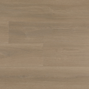 LENTIL OAK - 8MM LAMINATE
