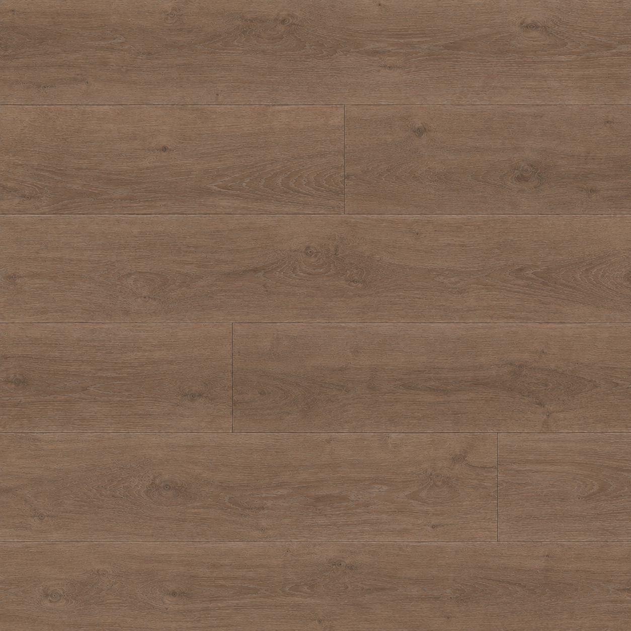Winchester Oak